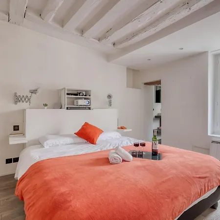 Apartment Large And Modern 1brd Flat At Lovely Saint Germain Paris